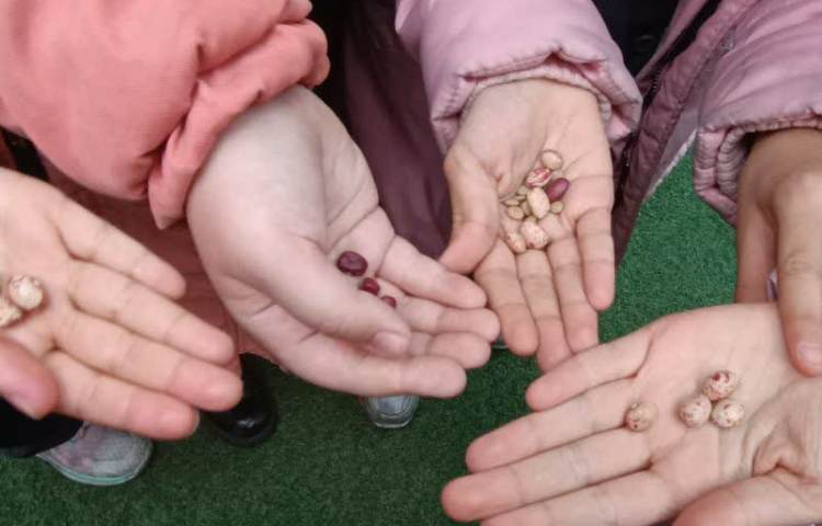 کلاس بدون دیوار 2