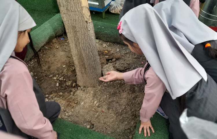 کلاس بدون دیوار 2