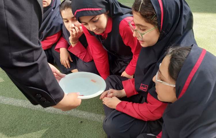 کلاس بدون دیوار 3