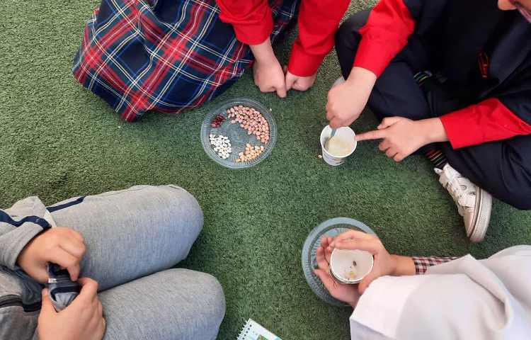 کلاس بدون دیوار 4