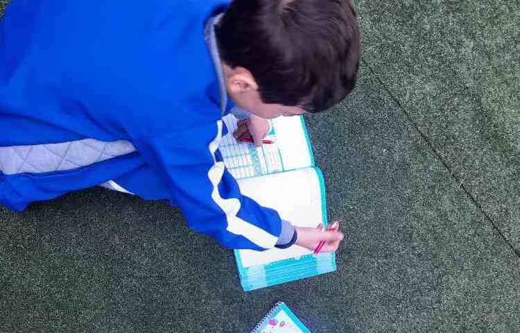 کلاس بدون دیوار 5