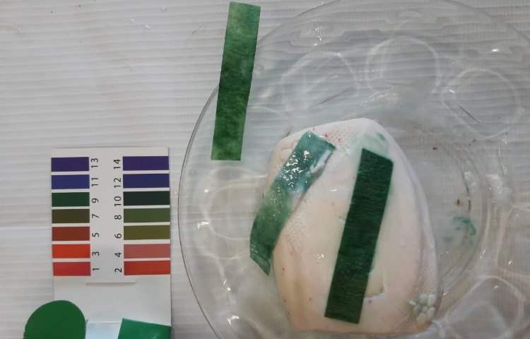 کلاس بدون دیوار 6