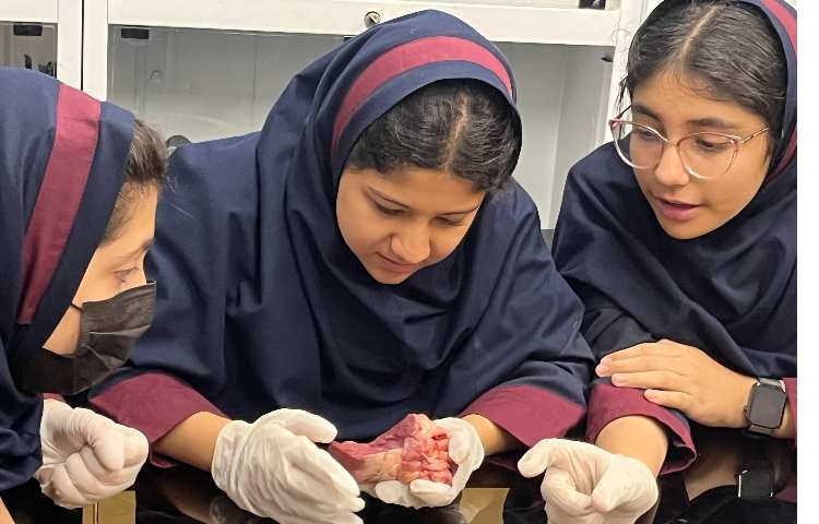 کلاس تشریح قلب 1