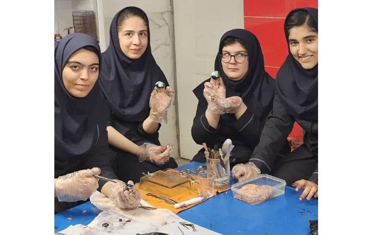 کلاس تشریح مغز و چشم 1