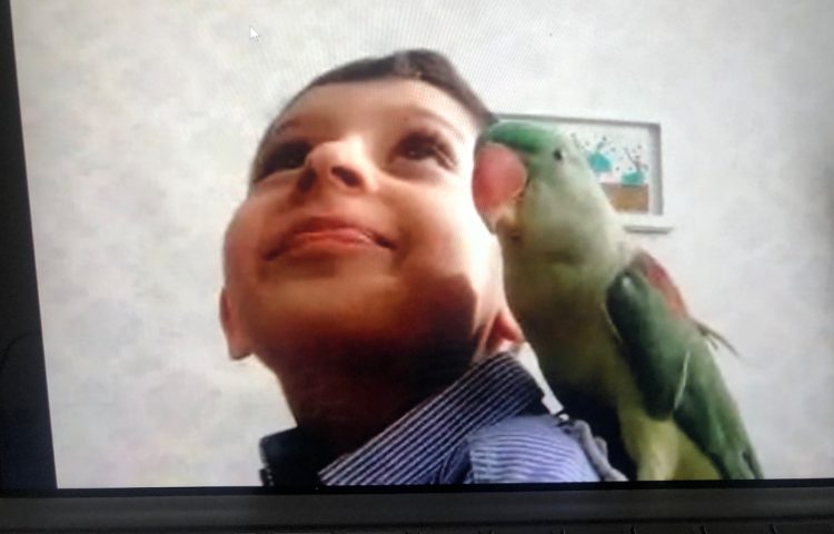 کلاس علوم:آموزش پرندگان 2