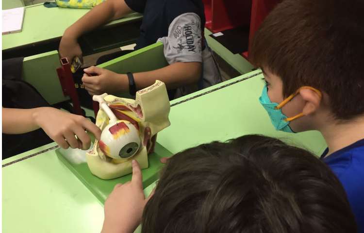 کلاس علوم آشنایی با اجزای چشم 3