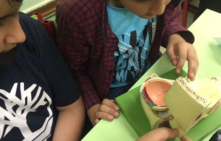 کلاس علوم آشنایی با اجزای چشم 4