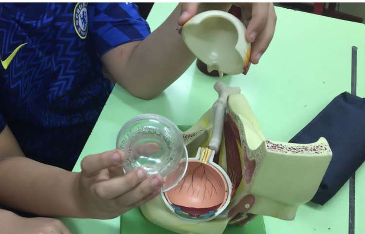 کلاس علوم آشنایی با اجزای چشم 6