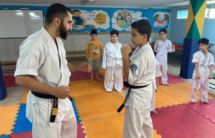 : کلاس های آموزشگاهی شطرنج و کاراته 2