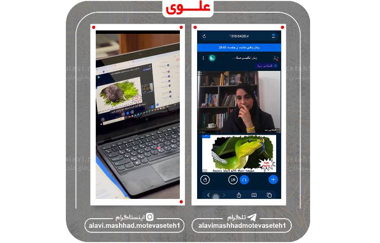 کلاس های مجازی 15 فروردین 1405 4