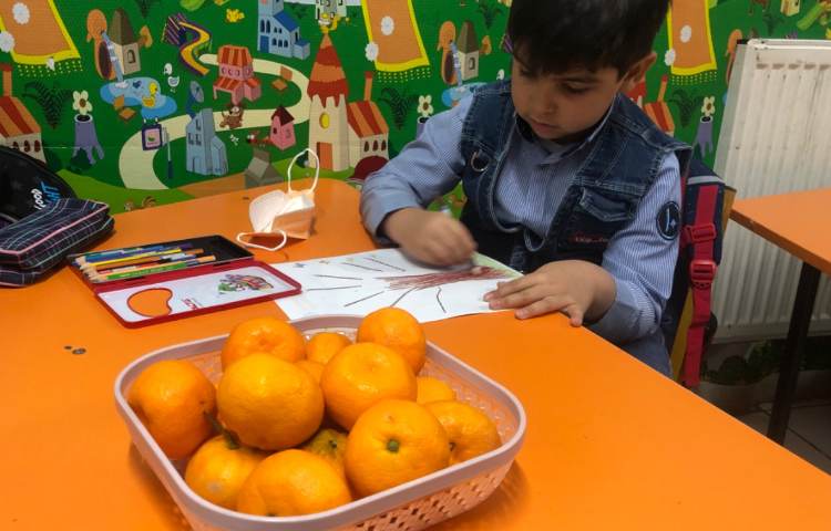کلاس هوش و خلاقیت جهت دستورزی، پوست نارنگی را جدا کردیم و برش دادیم و با ان درخت نارنگی درست کردیم 4