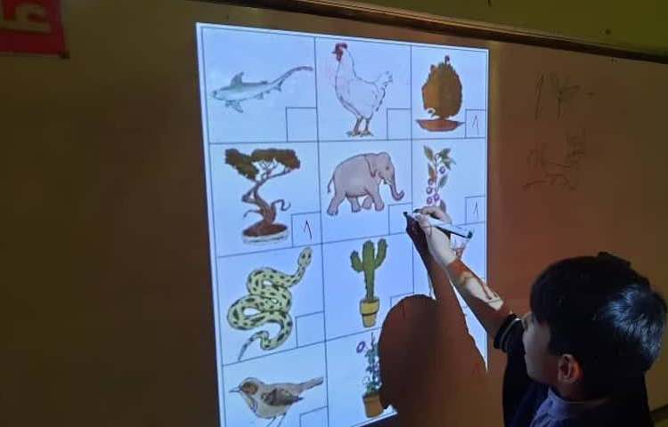 کلاس Science class Subject: Plant and animal 2
