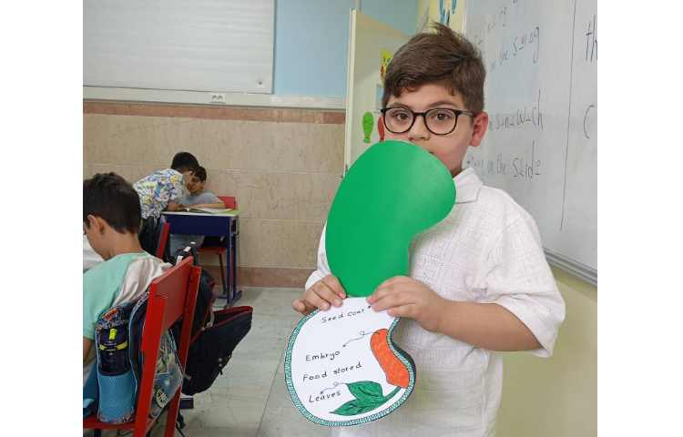 کلاس starters 24 8