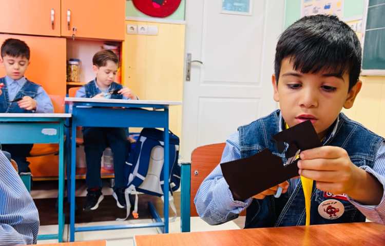 کلاژ بستنی عنکبوت 1