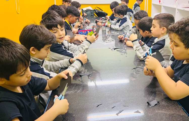 کلاژ عنکبوت 4