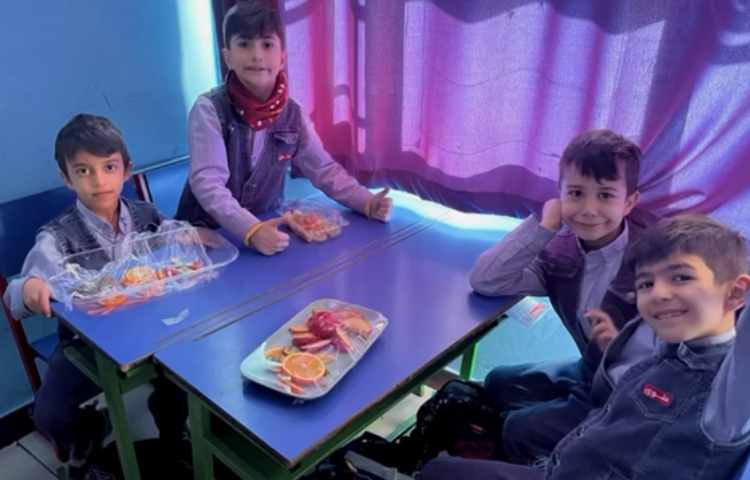 کلیپ هفته ملی علوم (vitafruit) 2