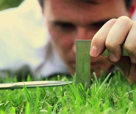 ضرروری‌ها و نه چندان ضروری‌ها را تشخیص دهید