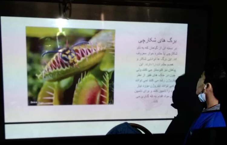 کنفرانس درس علوم (هم زیستی) دانش آموزان پایه ششم دبستان 7