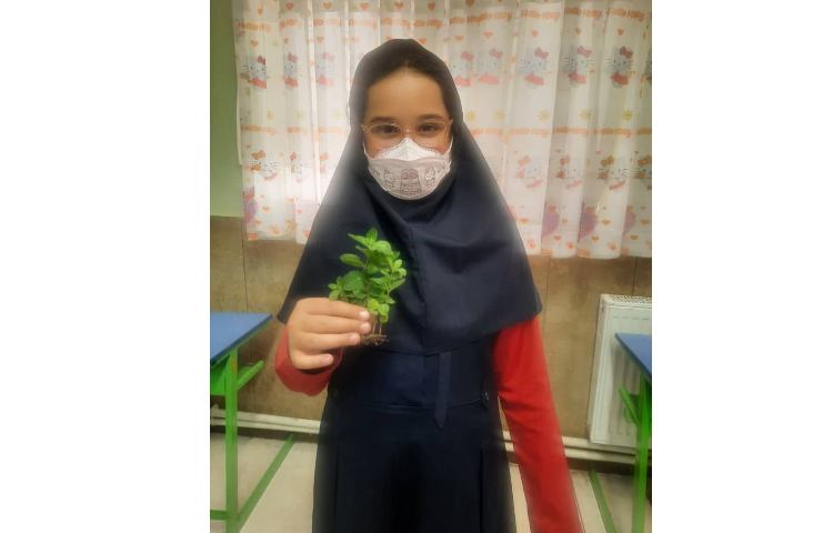 کیمیا موحد کلاس علوم 1