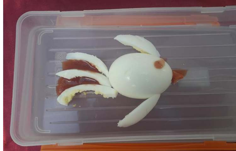 گرامیداشت روز جهانی تخم مرغ 15