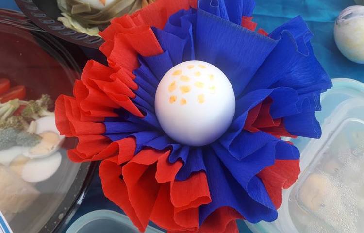 گرامیداشت روز جهانی تخم مرغ 16