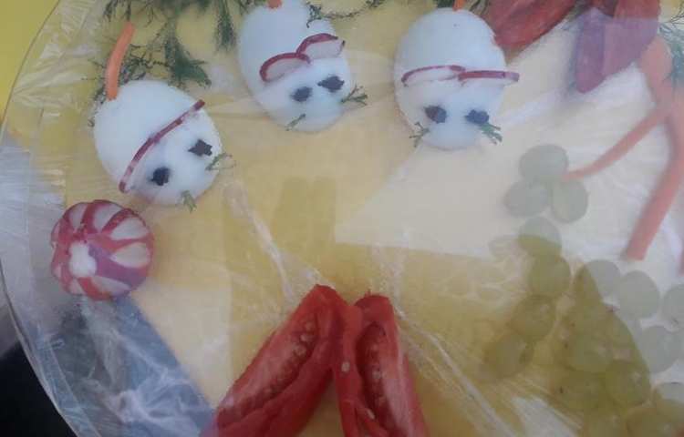 گرامیداشت روز جهانی تخم مرغ 6