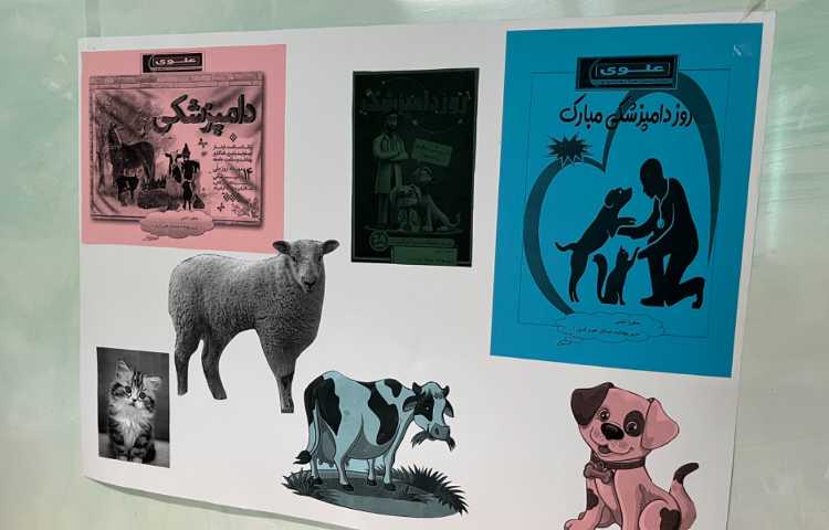 گرامیداشت روز دامپزشک 5