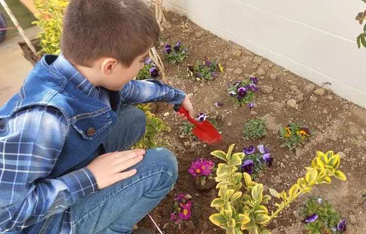 گرامیداشت روز درختکاری دانش آموزان دبستان علوی 1