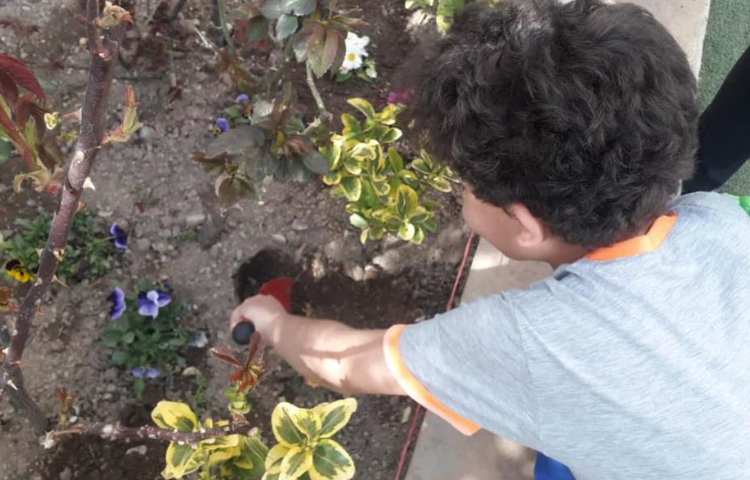 گرامیداشت روز درختکاری دانش آموزان دبستان علوی 11