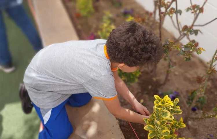 گرامیداشت روز درختکاری دانش آموزان دبستان علوی 2