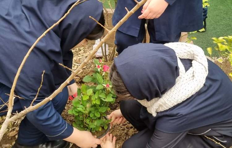 گرامیداشت روز درختکاری, روز دوستی با طبیعت 2