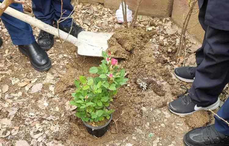 گرامیداشت روز درختکاری, روز دوستی با طبیعت 4