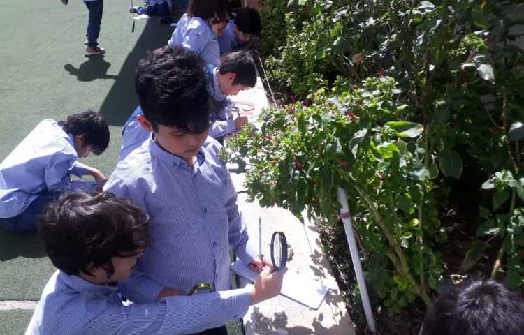 گردش علمی در حیاط مدرسه و ثبت مشاهدات