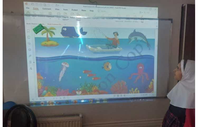 گروه بندی حیوانات 2