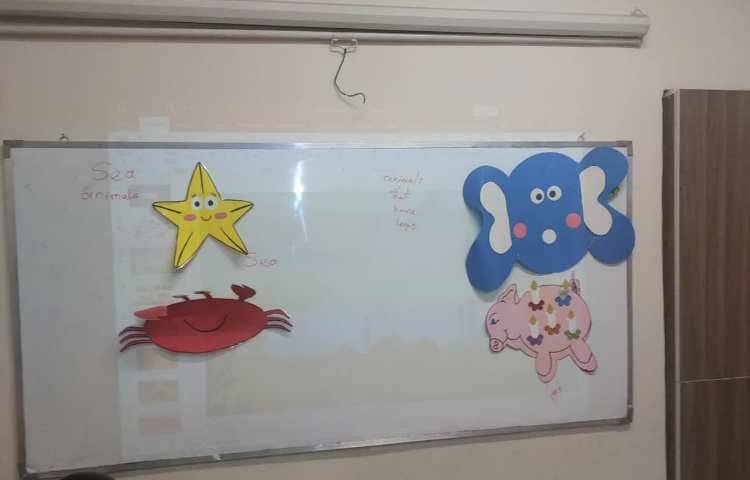 گروه بندی حیوانات