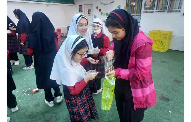 گروه های چهارخانه 5