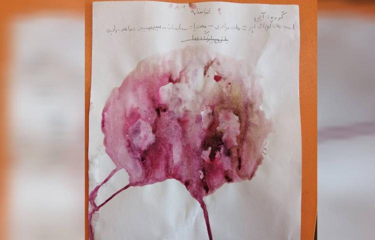 :گزیده ای از فعالیت های انجام شده در هفته علوم 2