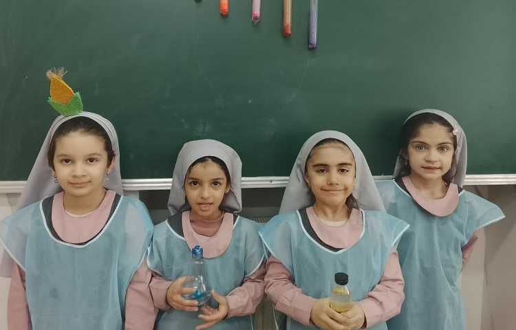 گوی بازیگوش 3