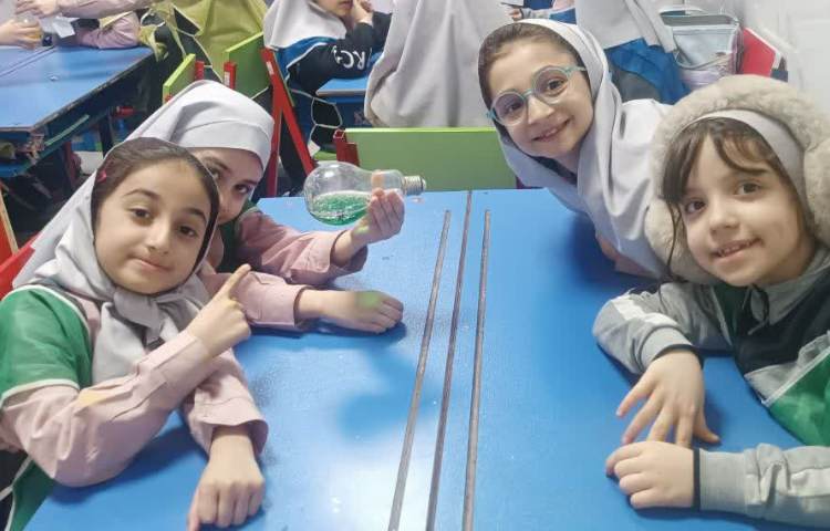 گوی بازیگوش 5