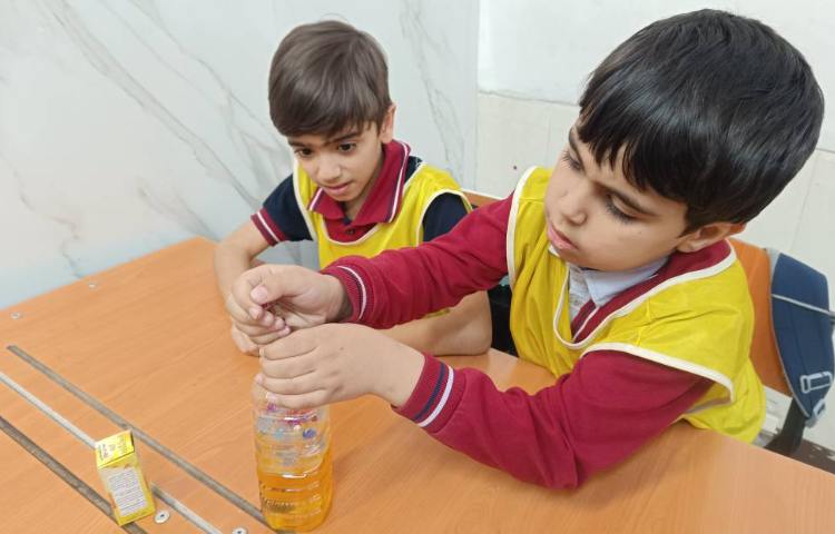 گوی هیجانی