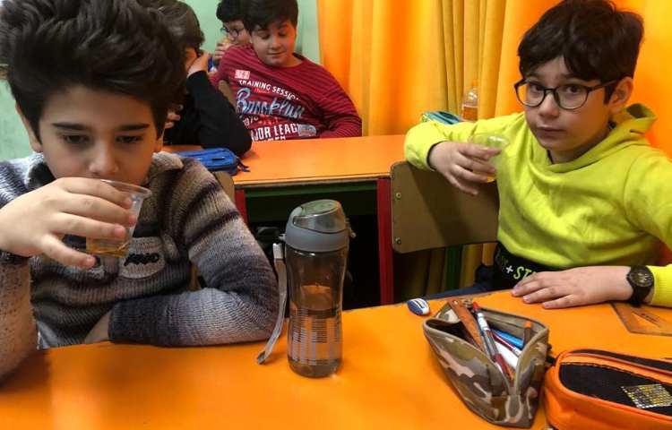 گیاهان دارویی و دنیای عنکبوت ها دانش آموزان پایه چهارم دبستان 5