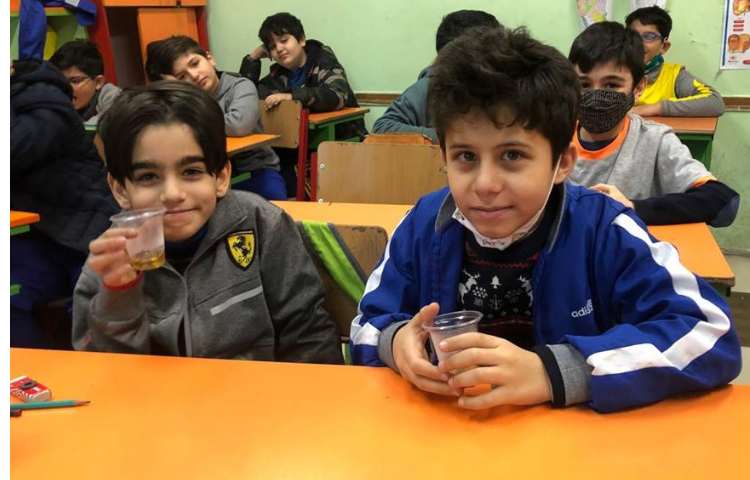 گیاهان دارویی و دنیای عنکبوت ها دانش آموزان پایه چهارم دبستان 6