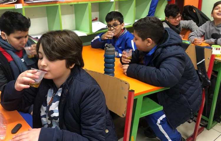 گیاهان دارویی و دنیای عنکبوت ها دانش آموزان پایه چهارم دبستان