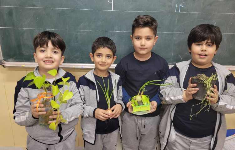 گیاهان، علوم 1