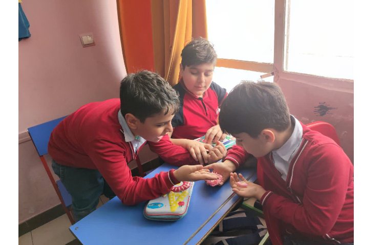 گیاهان -علوم 1