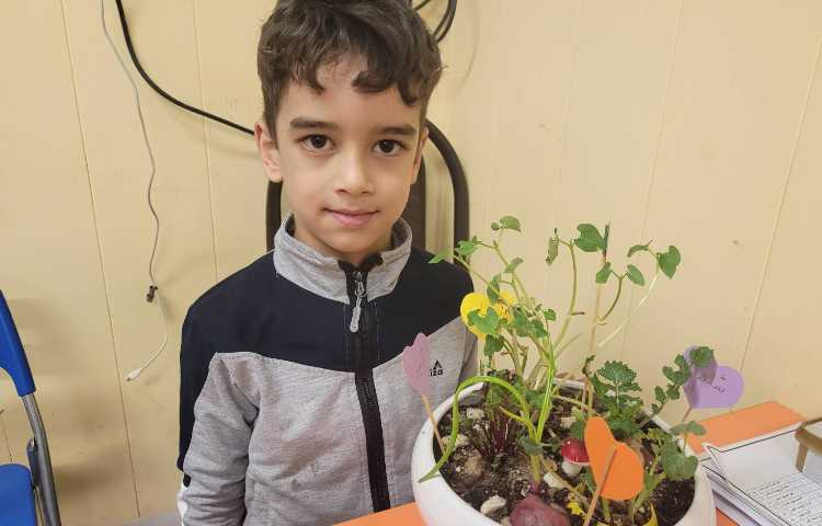 گیاهان، علوم 2