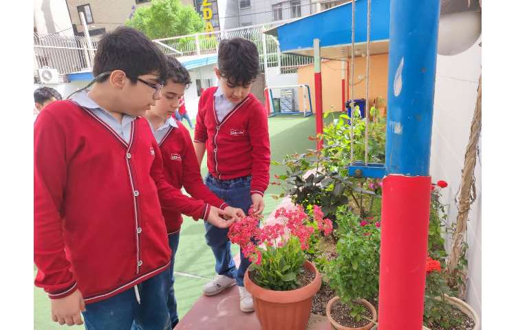 گیاهان -علوم