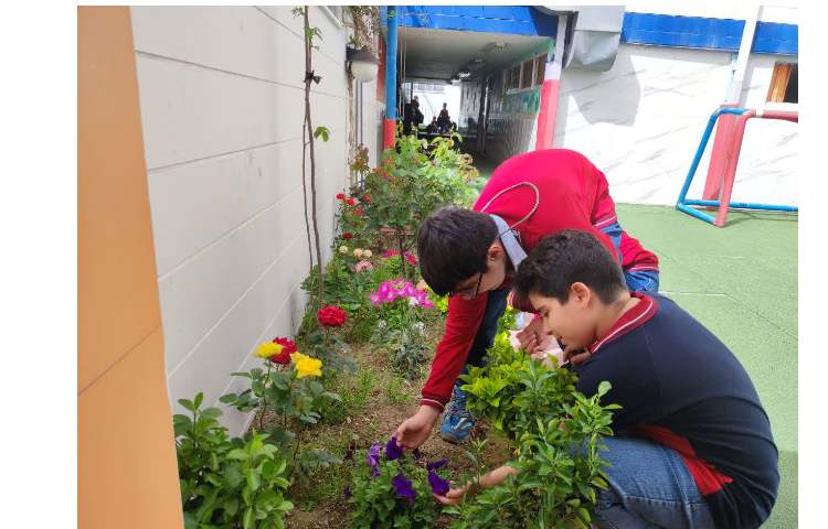 گیاهان -علوم