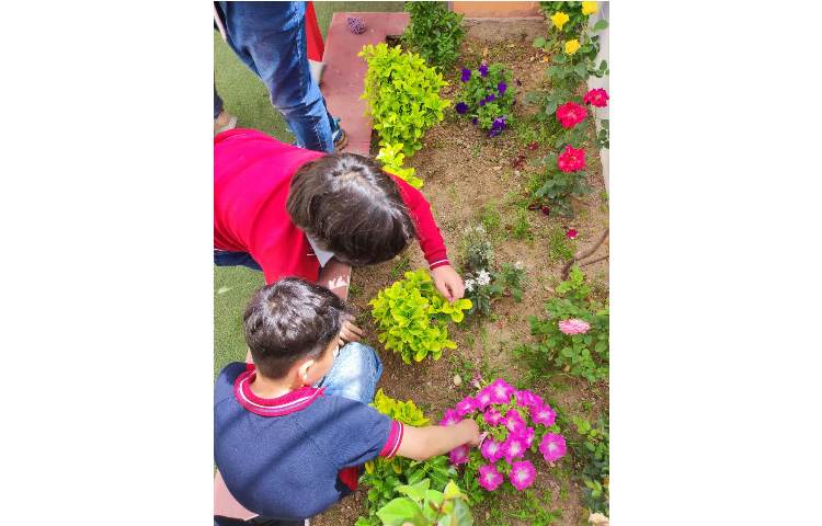 گیاهان -علوم