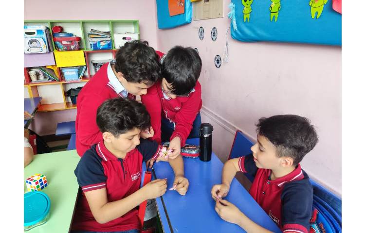 گیاهان -علوم